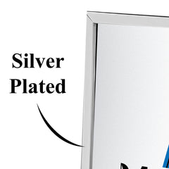 Silver Plated Series 120S20-20X30- Picture 20x30cm Portrait