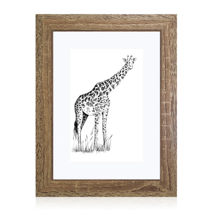Masdun Modern 30x45cm Photo Frame - Medium Brown - Wildlife