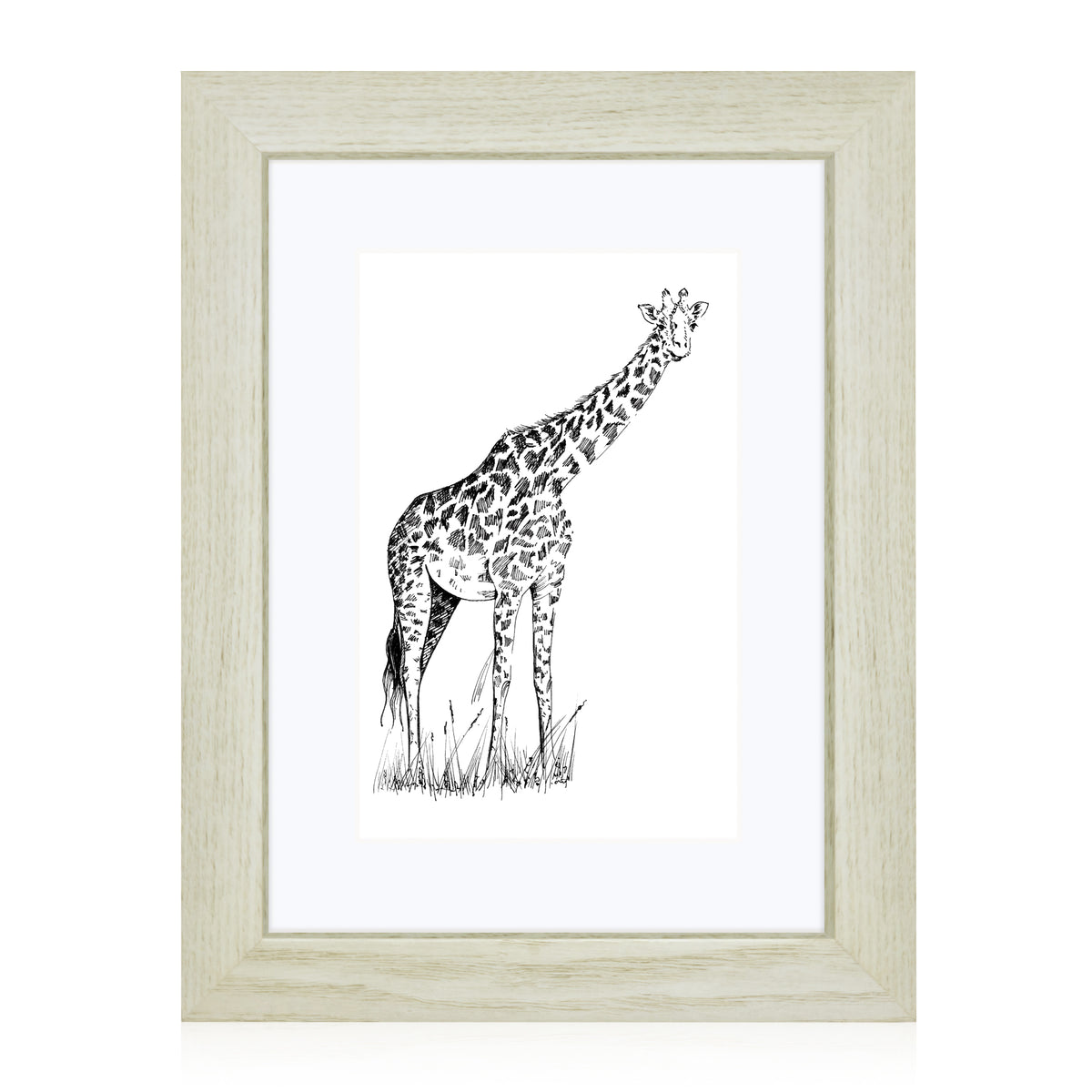 Masdun Modern A4 Photo Frame - White - Wildlife