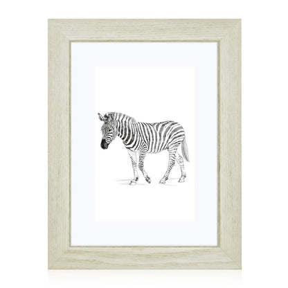Masdun Modern A4 Photo Frame - White - Wildlife