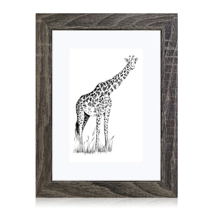 Masdun Modern A4/Certificate Photo Frame - Dark Grey - Wildlife